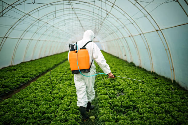 Best Emergency Pest Control  in Pennsburg, PA