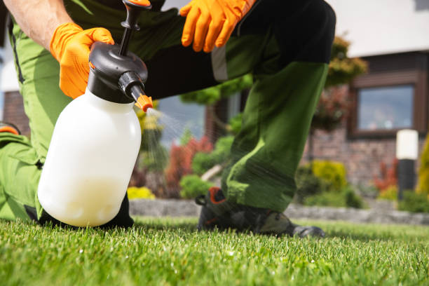 Reliable Pennsburg, PA Pest Control Solutions