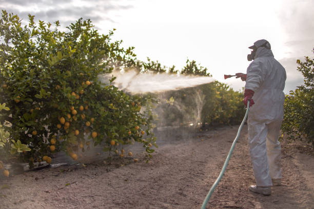 Pest Control Cost in Pennsburg, PA