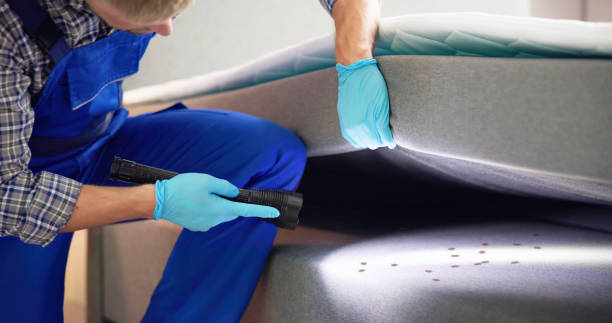 Best Bed Bug Extermination  in Pennsburg, PA