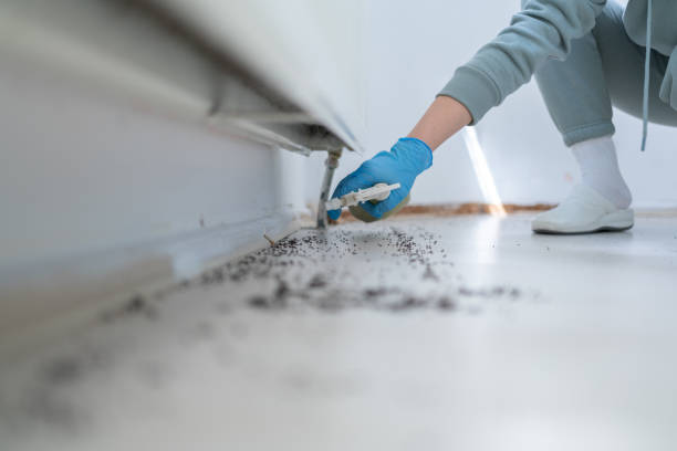 Best Mosquito Control Services  in Pennsburg, PA